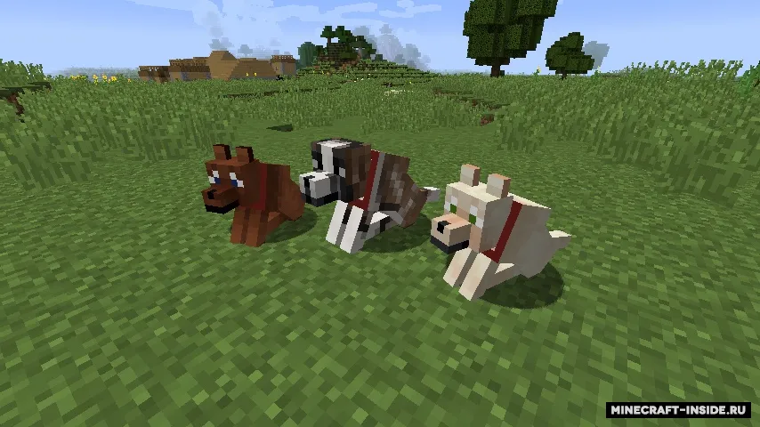 Not Enough Pets — Minecraft mod, rasm 8