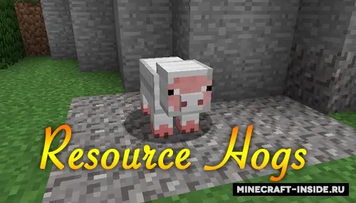 Resource Hogs — Minecraft mod, rasm 1