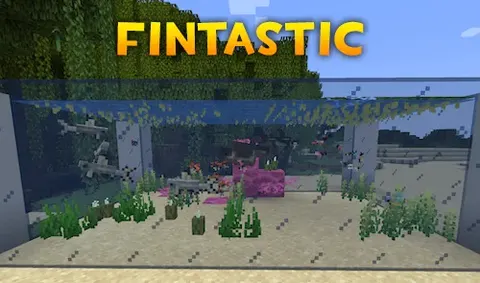 Fintastic