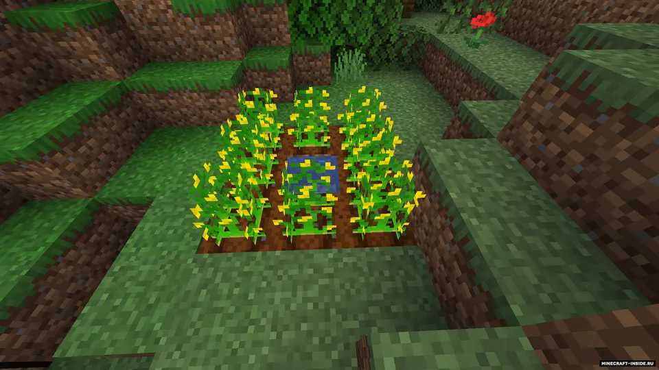 Peanuts! — Minecraft mod, rasm 2