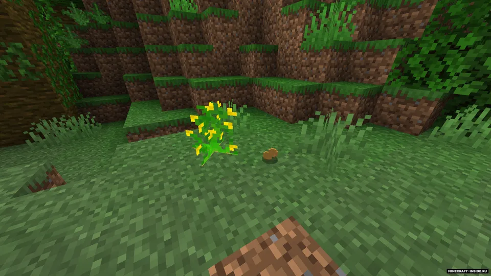 Peanuts! — Minecraft mod, rasm 3