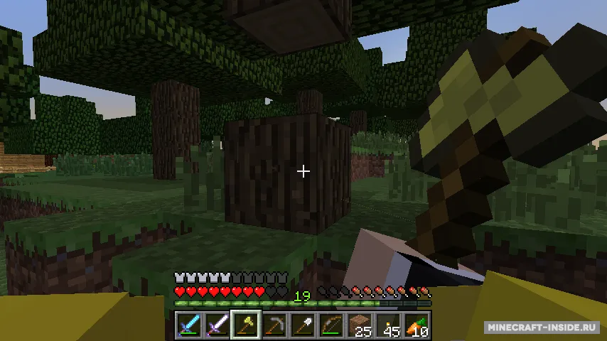 Real First-Person Render — Minecraft mod, rasm 4
