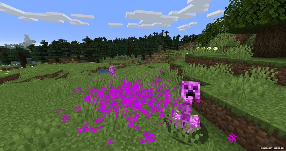 Not Enough Creepers — Minecraft mod, rasm 3