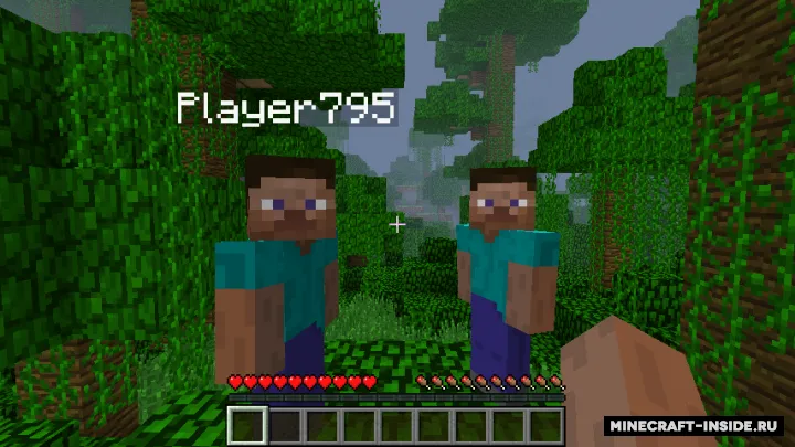Hide Names — Minecraft mod, rasm 2