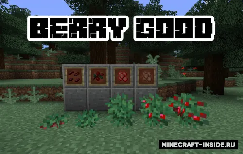 Berry Good — Minecraft mod, rasm 1