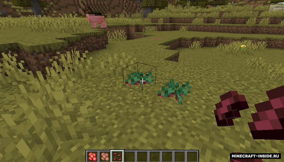 Berry Good — Minecraft mod, rasm 3