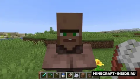 Villager's Nose