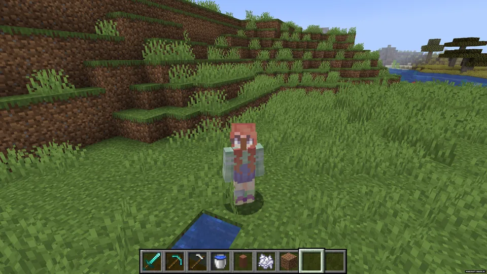 Villager's Nose — Minecraft mod, rasm 3