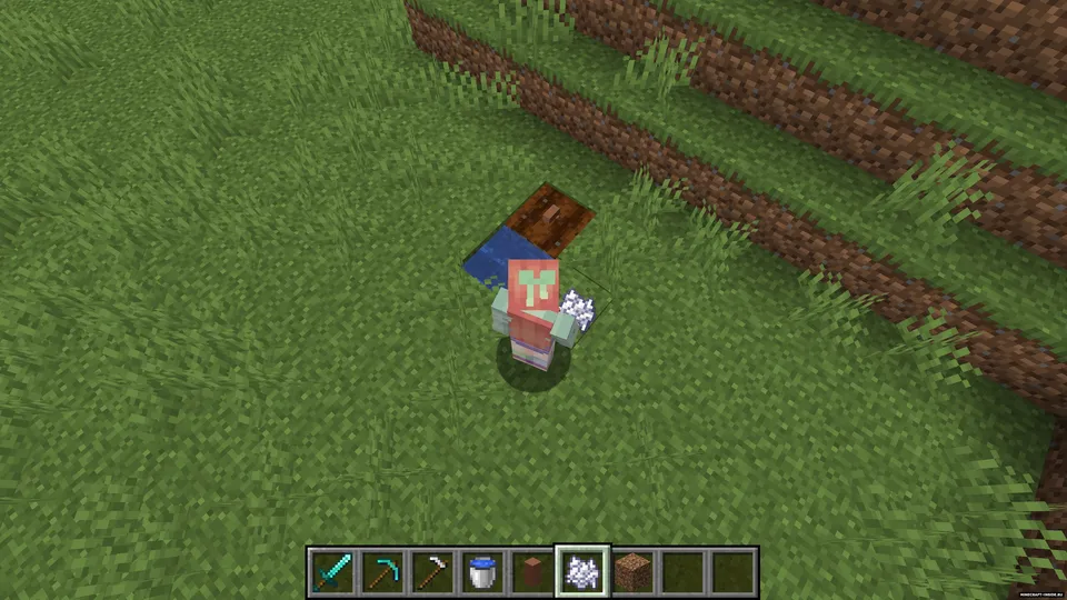 Villager's Nose — Minecraft mod, rasm 4