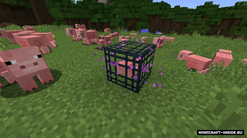 Soulus — Minecraft mod, rasm 3