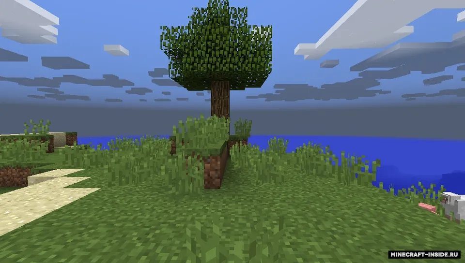 Walk Through Blocks — Minecraft mod, rasm 4