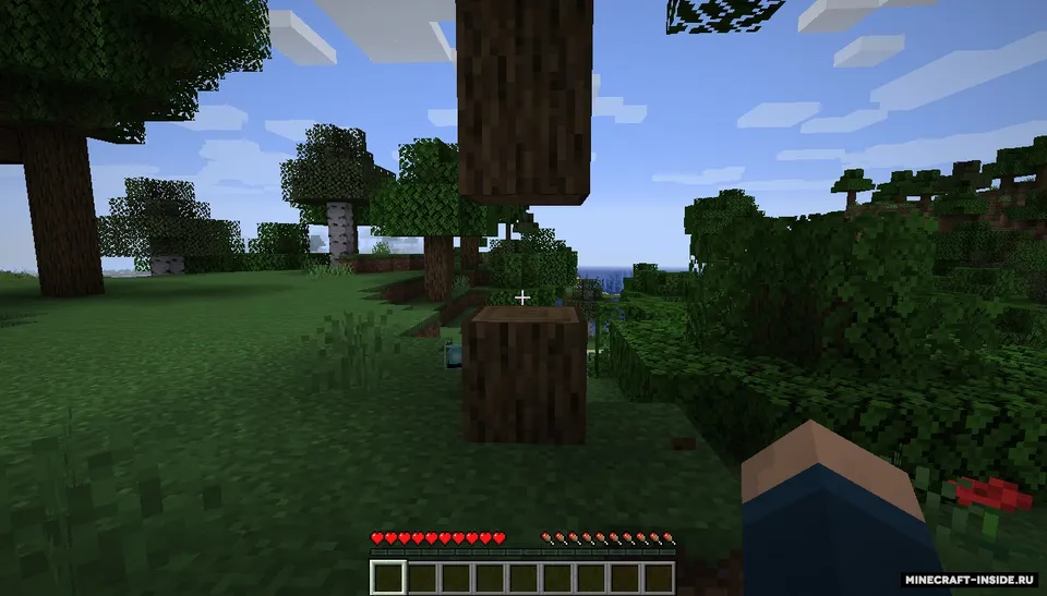 JRandomizer — Minecraft mod, rasm 2