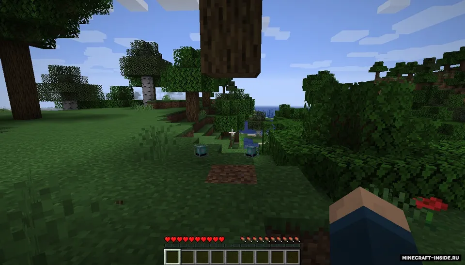 JRandomizer — Minecraft mod, rasm 3
