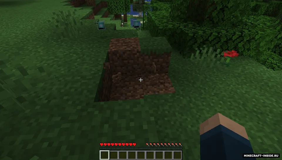 JRandomizer — Minecraft mod, rasm 4