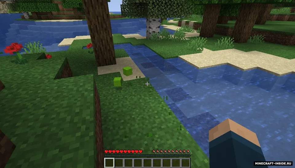JRandomizer — Minecraft mod, rasm 7