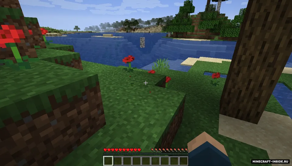JRandomizer — Minecraft mod, rasm 8