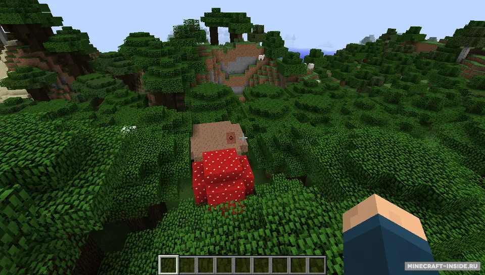 Ping — Minecraft mod, rasm 6