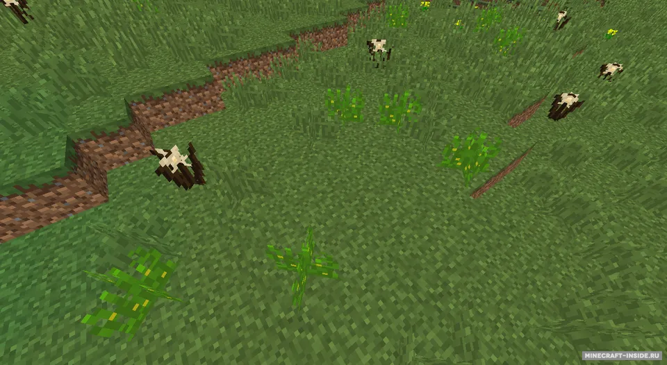 XL Food — Minecraft mod, rasm 4