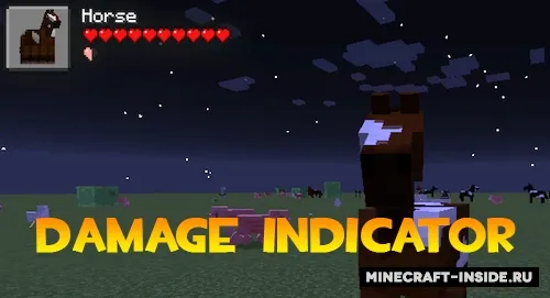 Ama's Damage Indicator — Minecraft mod, rasm 1