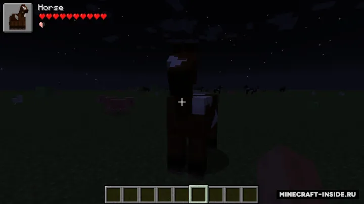 Ama's Damage Indicator — Minecraft mod, rasm 2