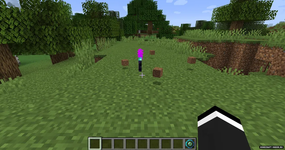 Ender Magnet — Minecraft mod, rasm 2