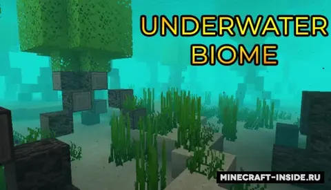 Underwater Biome