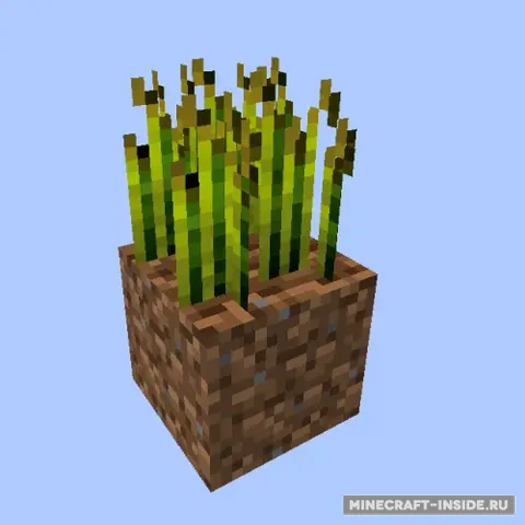 Reap