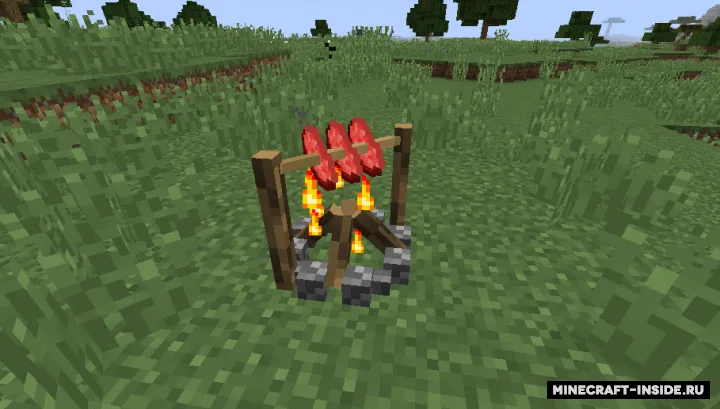 TAN Campfire Spit — Minecraft mod, rasm 2