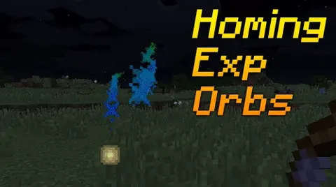 Homing Exp Orbs