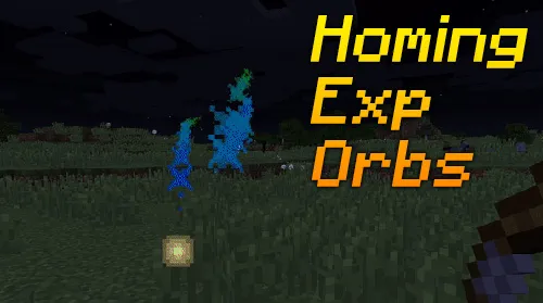 Homing Exp Orbs — Minecraft mod, rasm 1