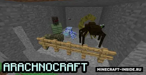 Arachnocraft