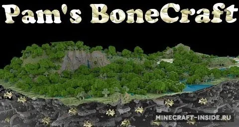 Pam’s BoneCraft