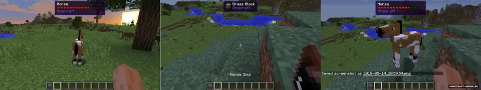 Animus — Minecraft mod, rasm 3