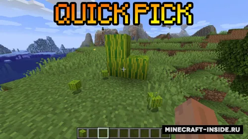 Quick Pick — Minecraft mod, rasm 1