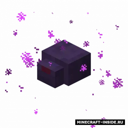 FriendlyEndermite