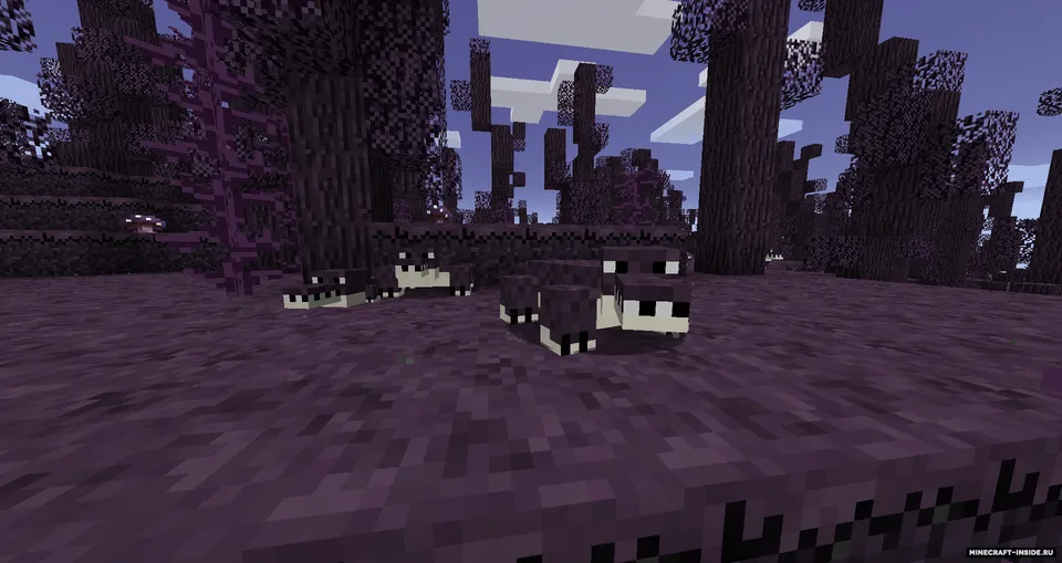 Defiled Lands — Minecraft mod, rasm 2