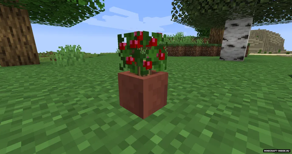 Potted Bushes — Minecraft mod, rasm 2