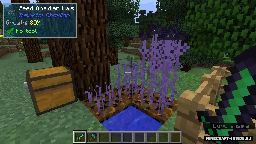 Immortal Obsidian — Minecraft mod, rasm 5