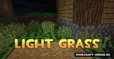 Light Grass