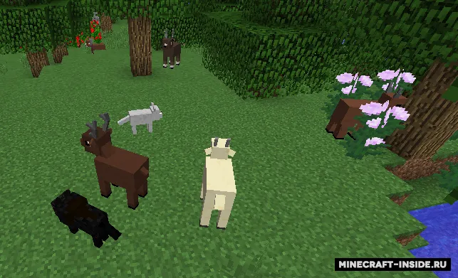 Modern Nature — Minecraft mod, rasm 2