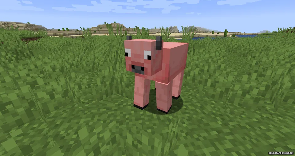Skinned Creepers — Minecraft mod, rasm 3