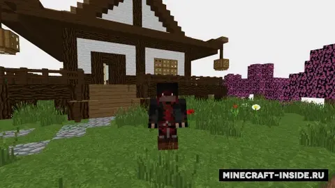 Assassin's mine