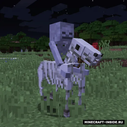 Skeleton Horse Spawn — Minecraft mod, rasm 1