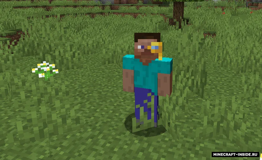 Villager Hats — Minecraft mod, rasm 7