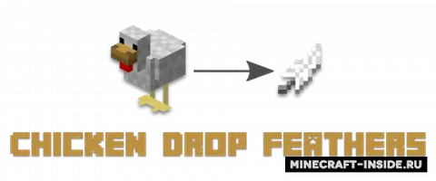 Chicken Drop Feathers