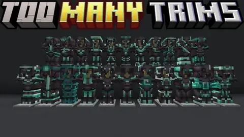 Too Many Trims