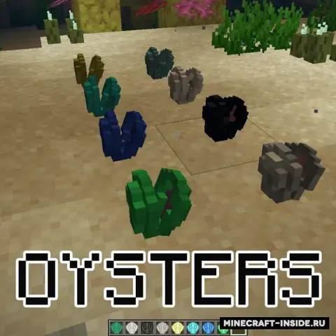 Oysters