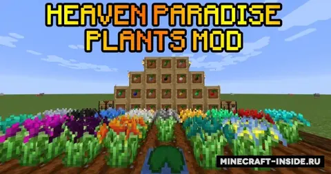 Heaven Paradise Plants