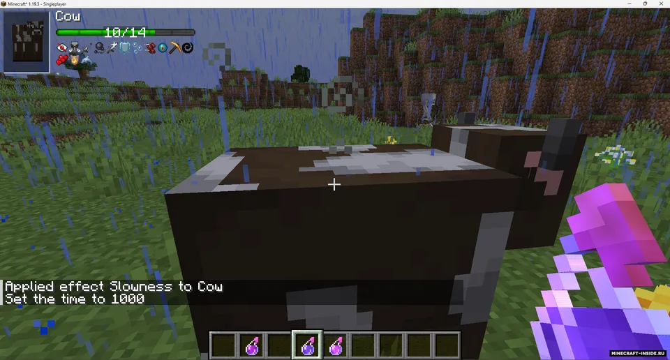 TslatEntityStatus (TES) — Minecraft mod, rasm 3