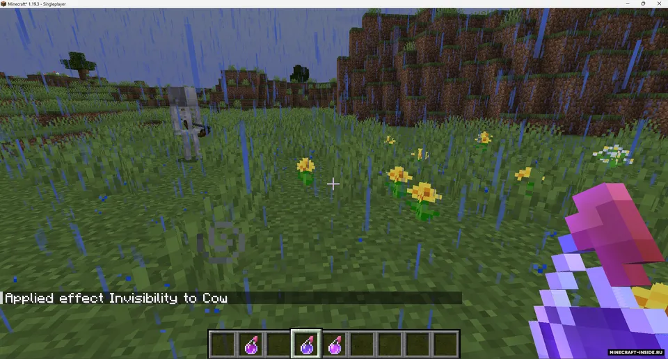 TslatEntityStatus (TES) — Minecraft mod, rasm 4